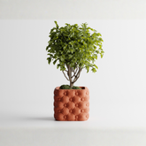 Luxury for your plants. Style for your space