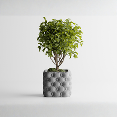 Luxury for your plants. Style for your space