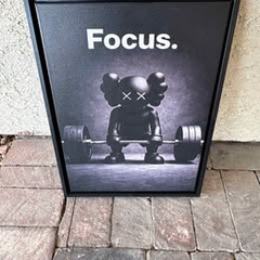 Focus Mode: Gym Klaw Canvas 12x16