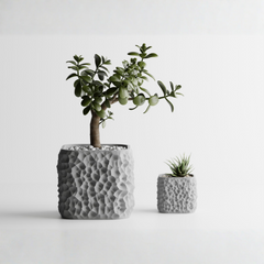 Plant Pot TerraForma