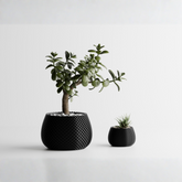 Planter Plant Pot Vase