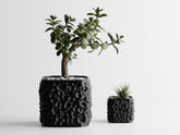 Plant Pot TerraForma