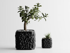Plant Pot TerraForma