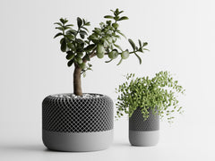 Round Modern Apple HomePod Style Plant Pot Vases
