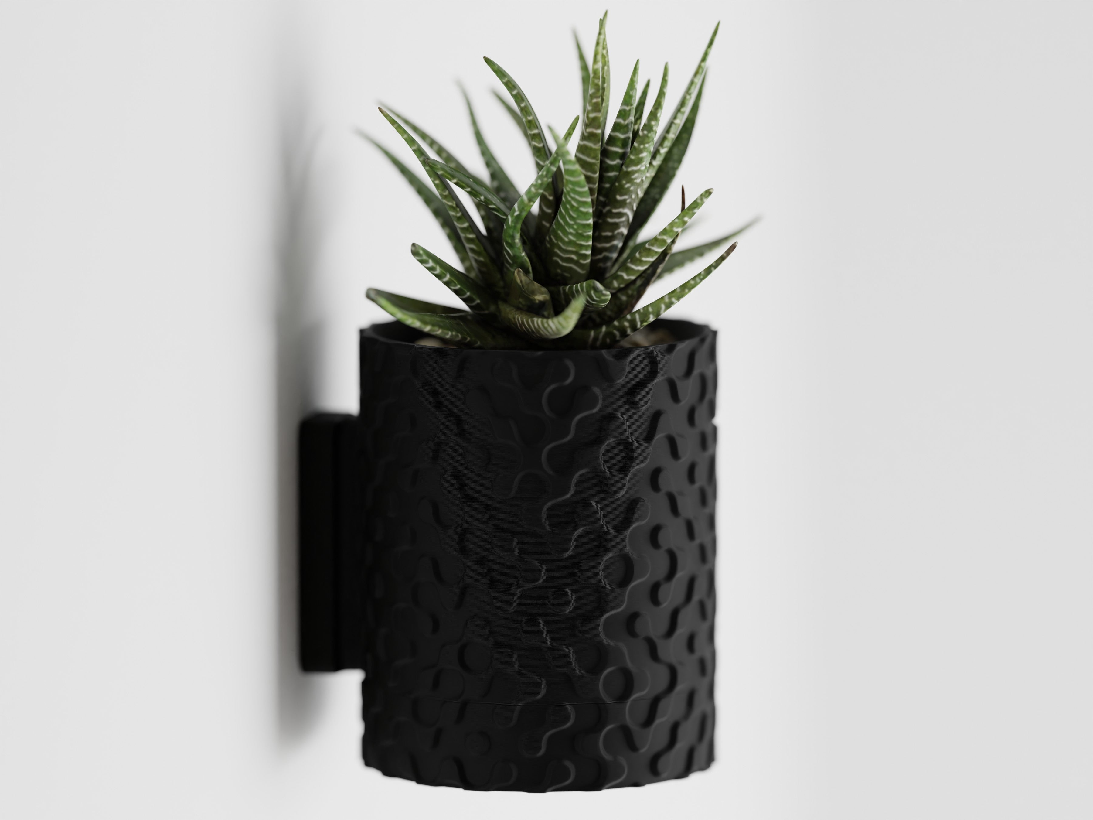 Plant Pot Geo