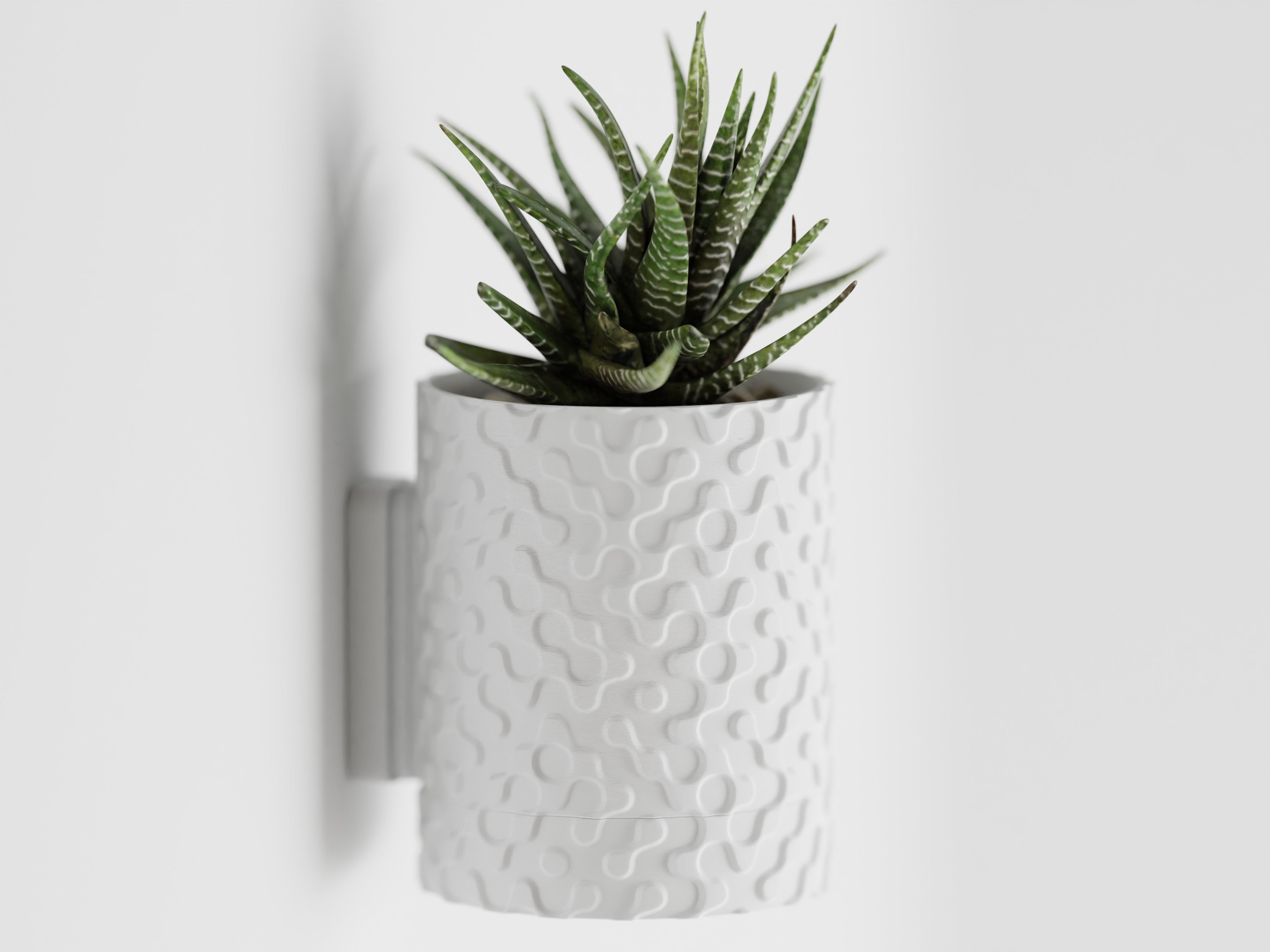 Plant Pot Geo