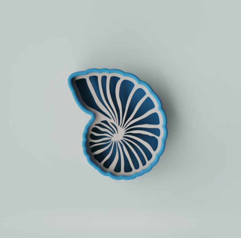 Organic Base - Ocean Spiral