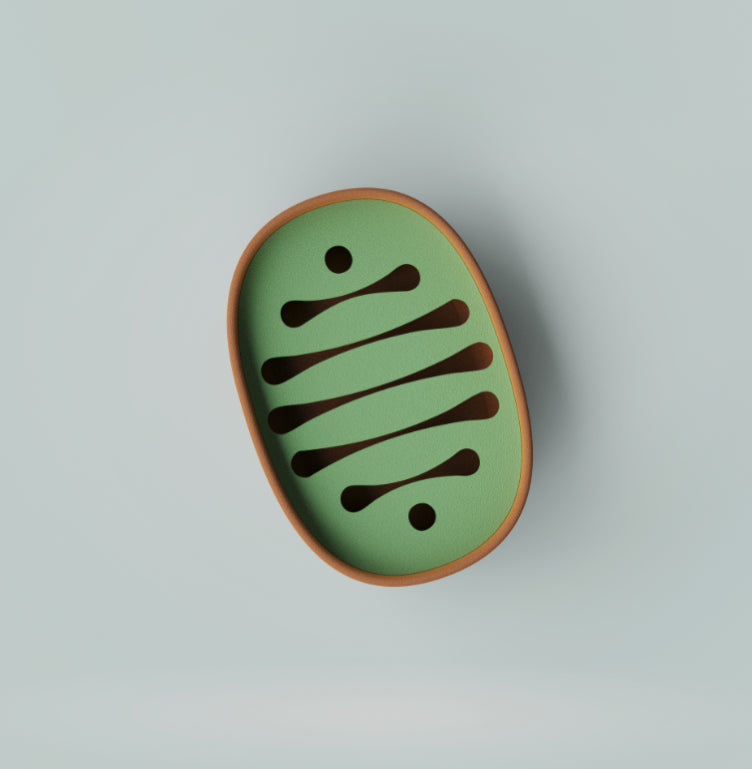 Zen Flow-Oval Base –Soap Dish