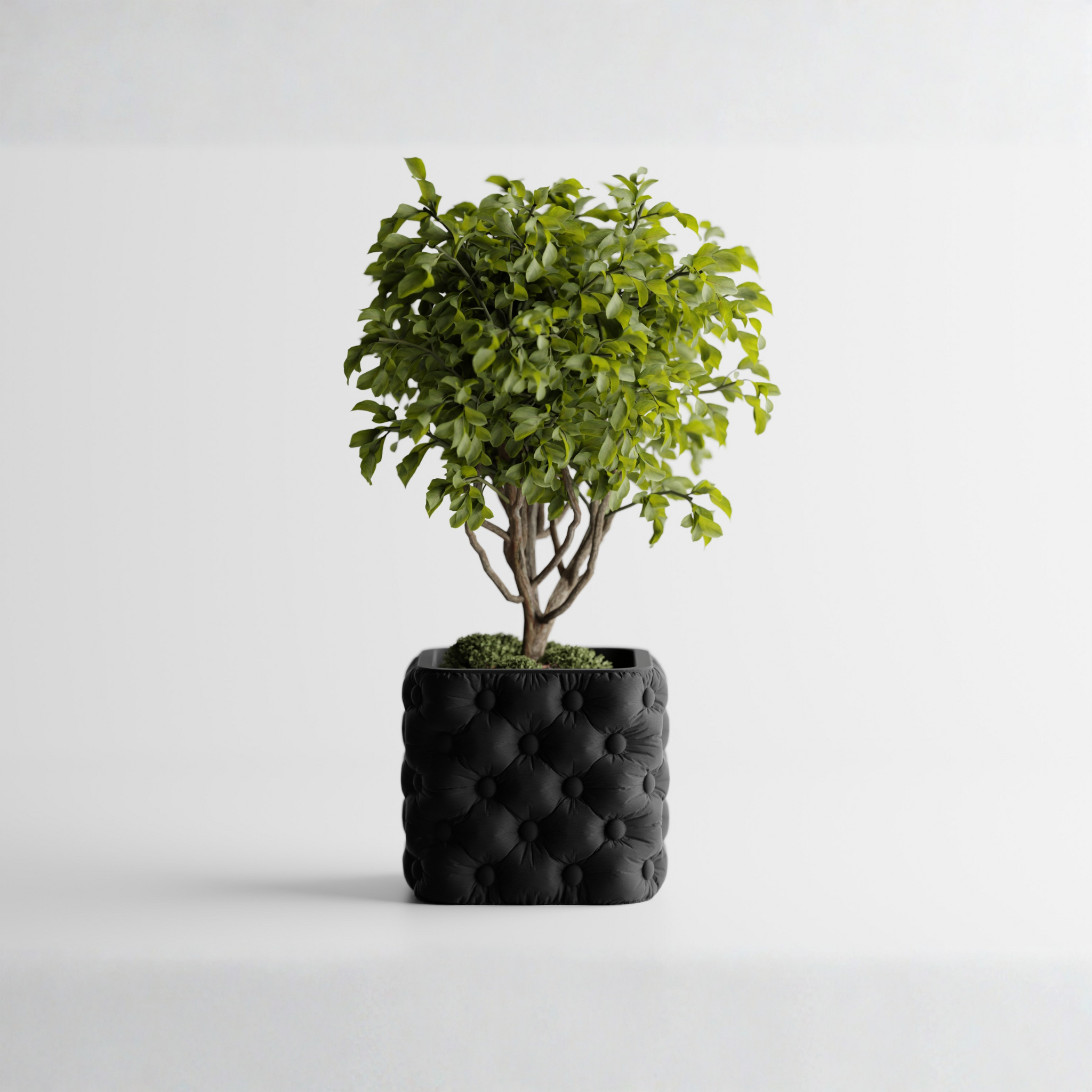 Luxury for your plants. Style for your space Secondary image