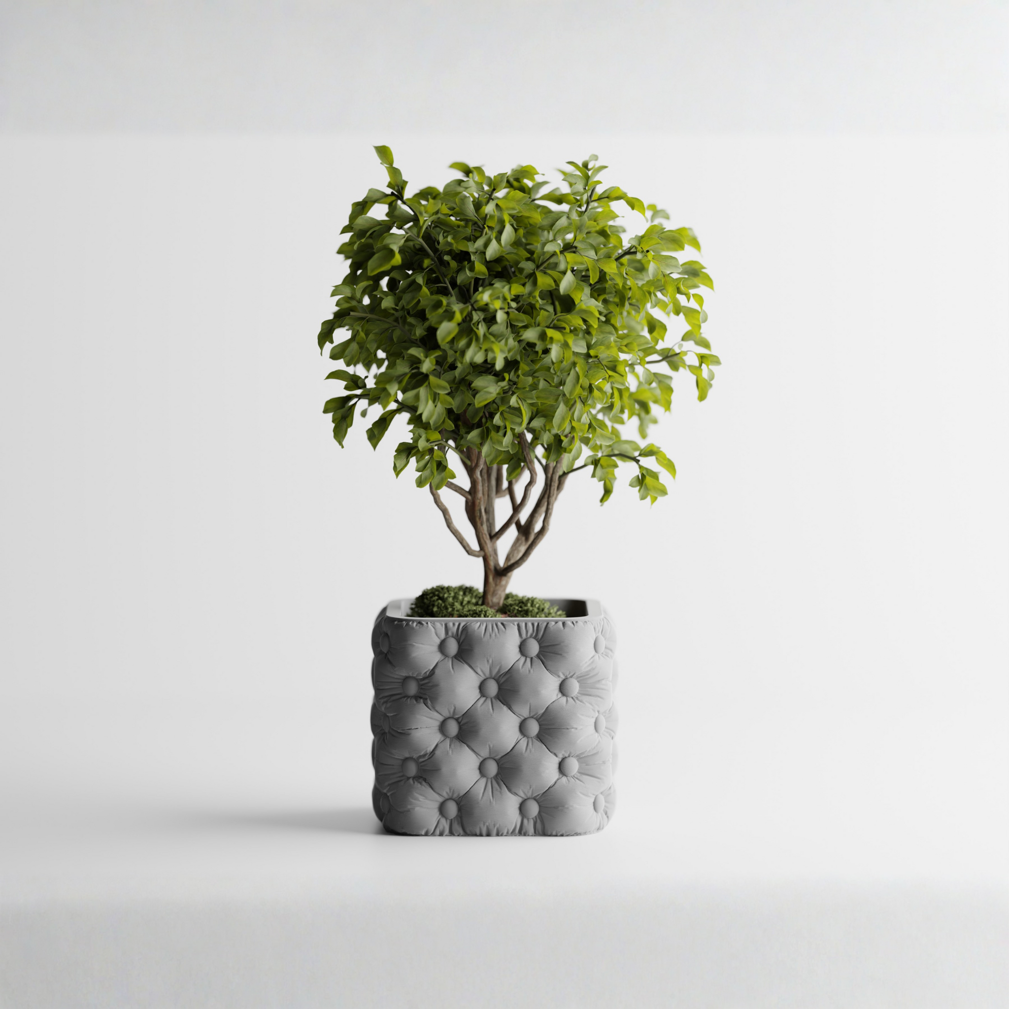 Luxury for your plants. Style for your space