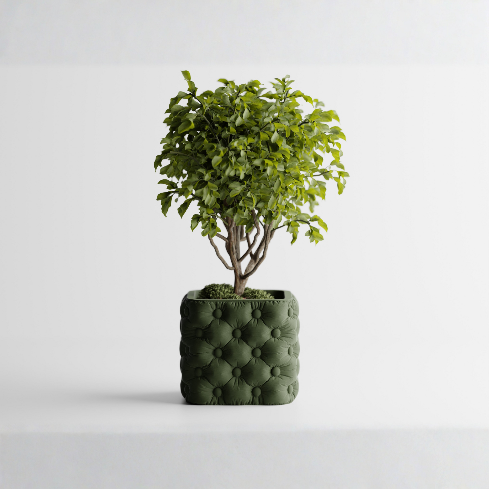 Luxury for your plants. Style for your space