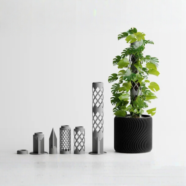 Verdura Moss Tower – Elegant Natural Green Decor for Home & Office