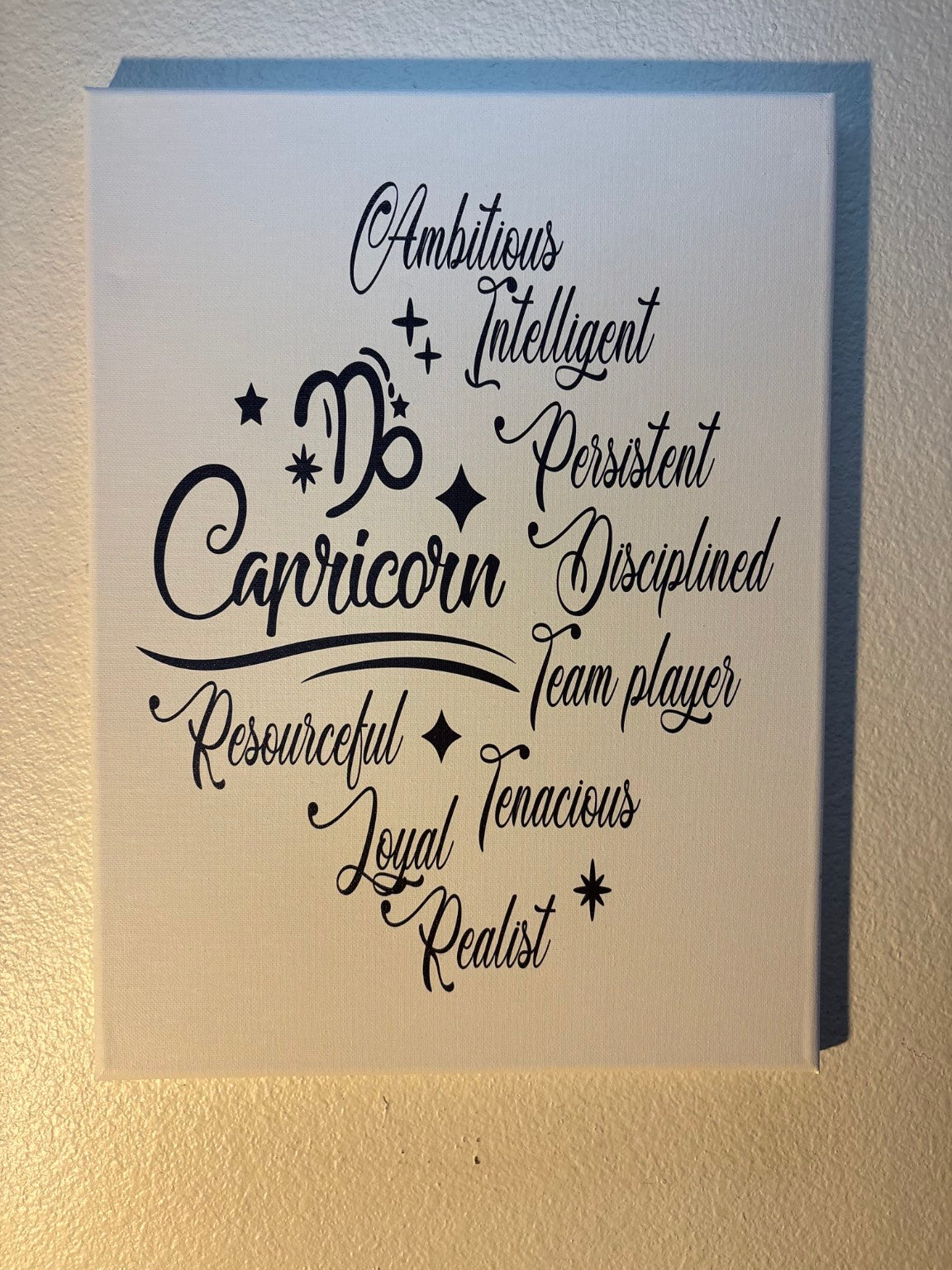 Capricorn canvas 12×16