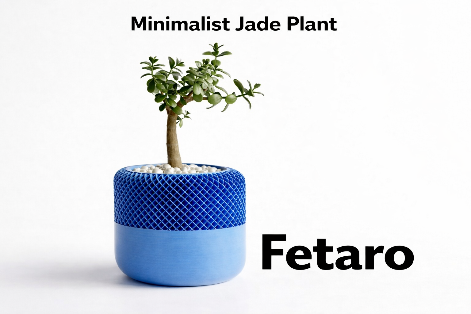 Minimalist Jade Plant Secondary image