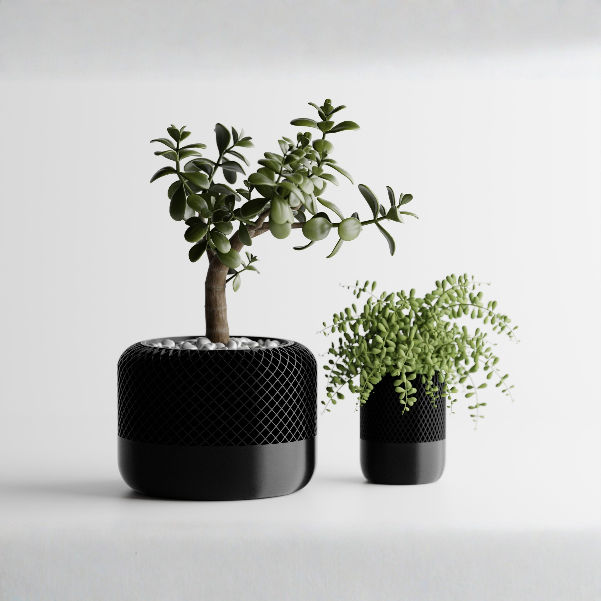 Round Modern Apple HomePod Style Plant Pot Vases