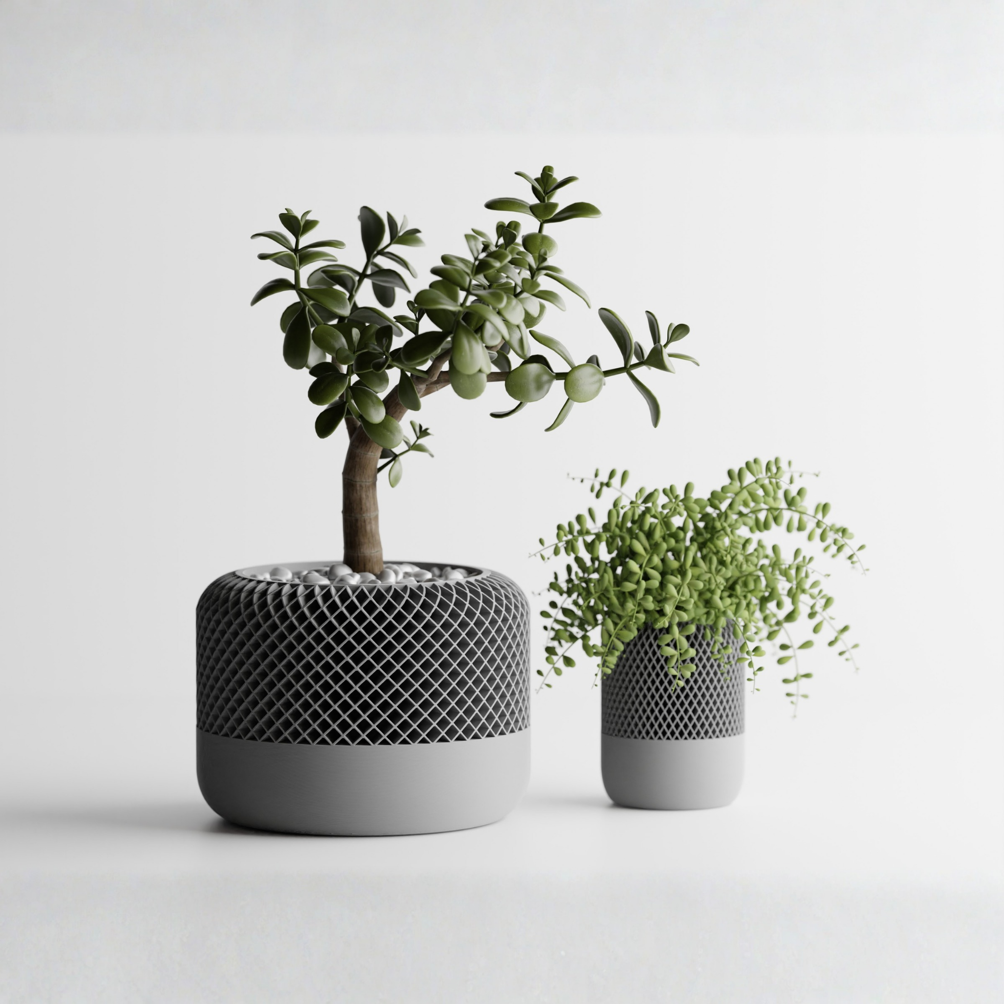 Round Modern Apple HomePod Style Plant Pot Vases