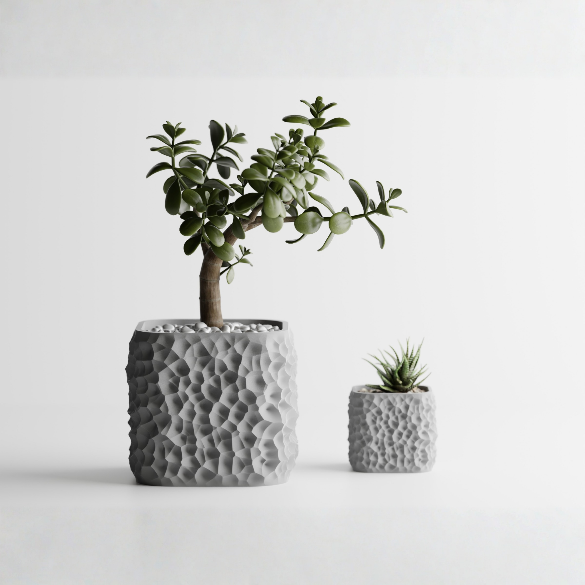 Plant Pot TerraForma