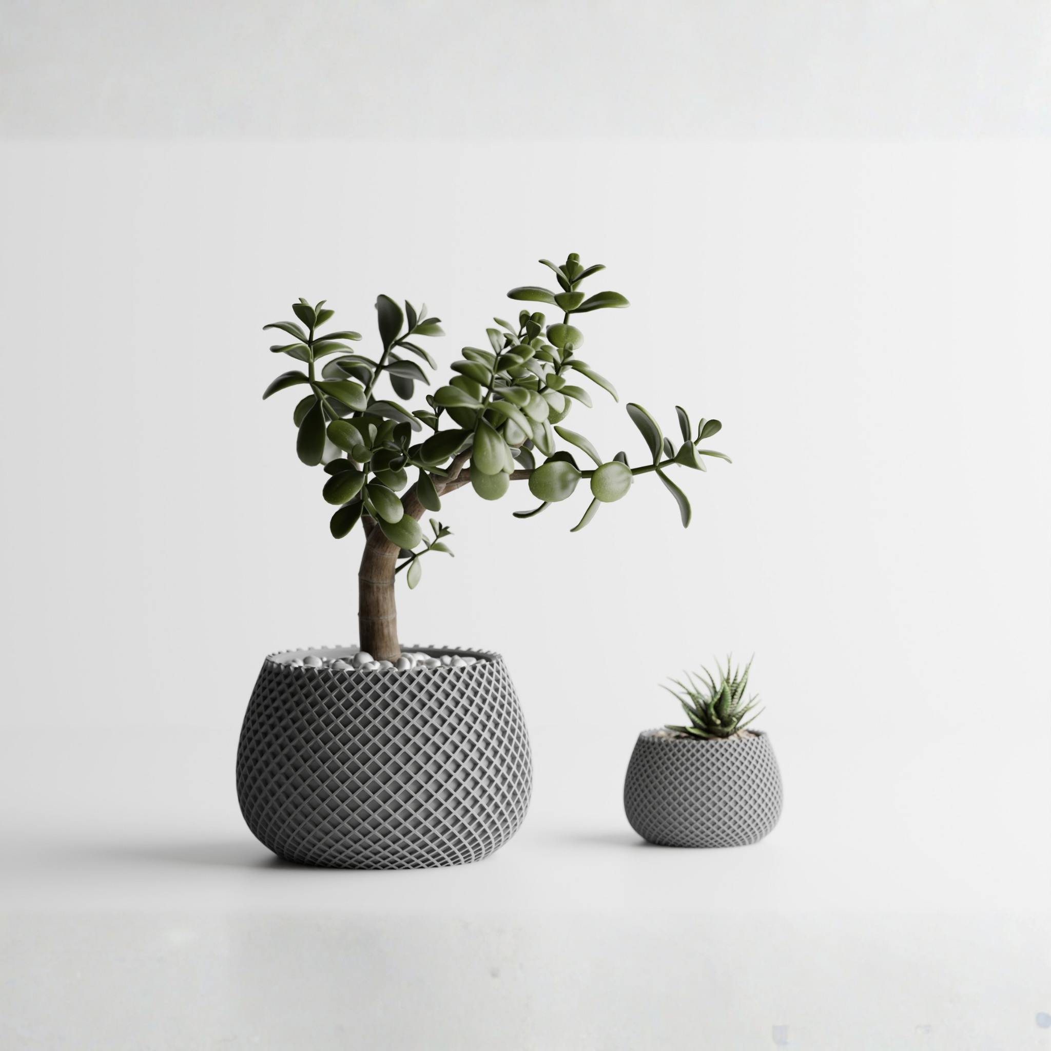 Planter Plant Pot Vase
