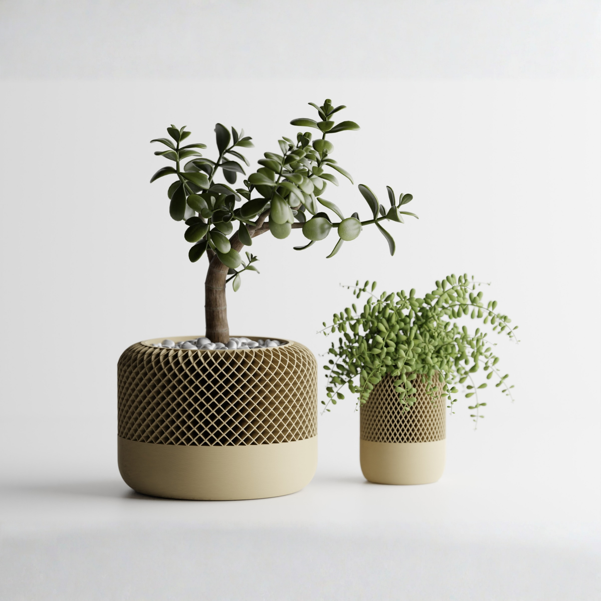 Round Modern Apple HomePod Style Plant Pot Vases