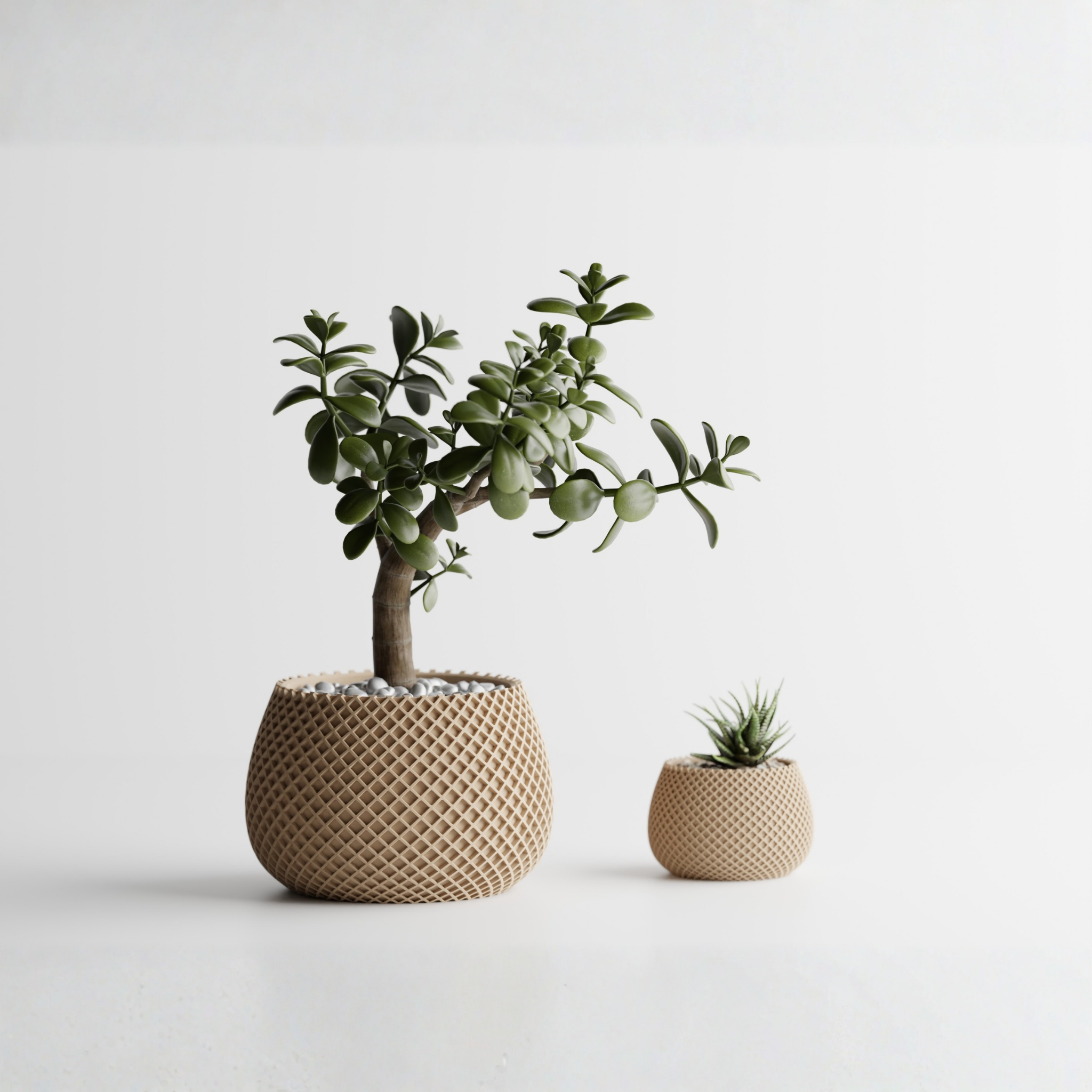 Planter Plant Pot Vase