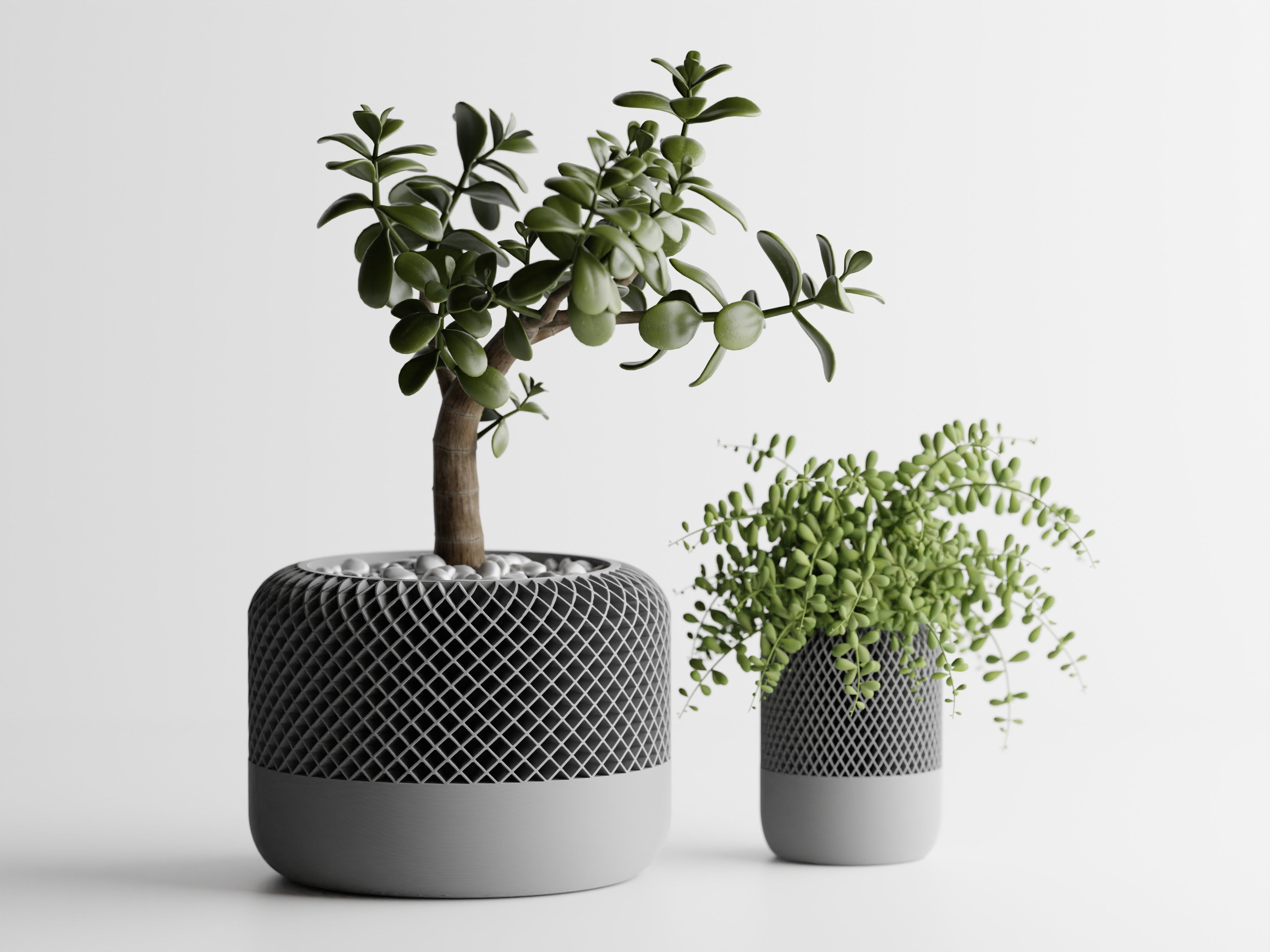 Round Modern Apple HomePod Style Plant Pot Vases