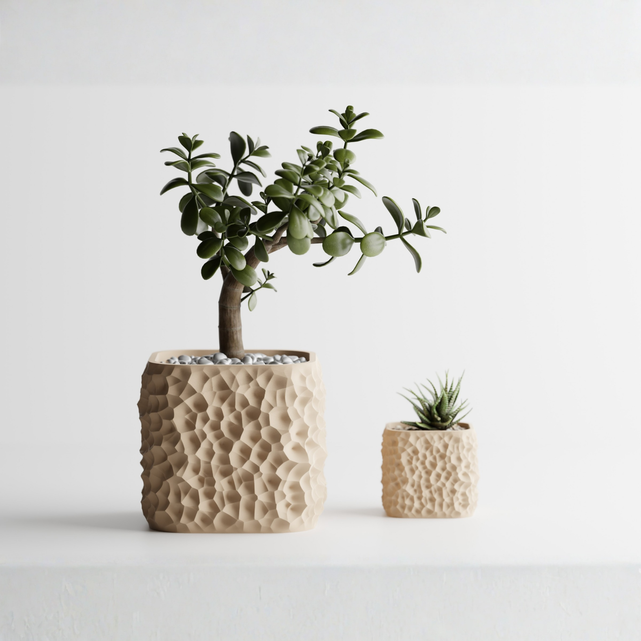 Plant Pot TerraForma