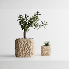 Plant Pot TerraForma