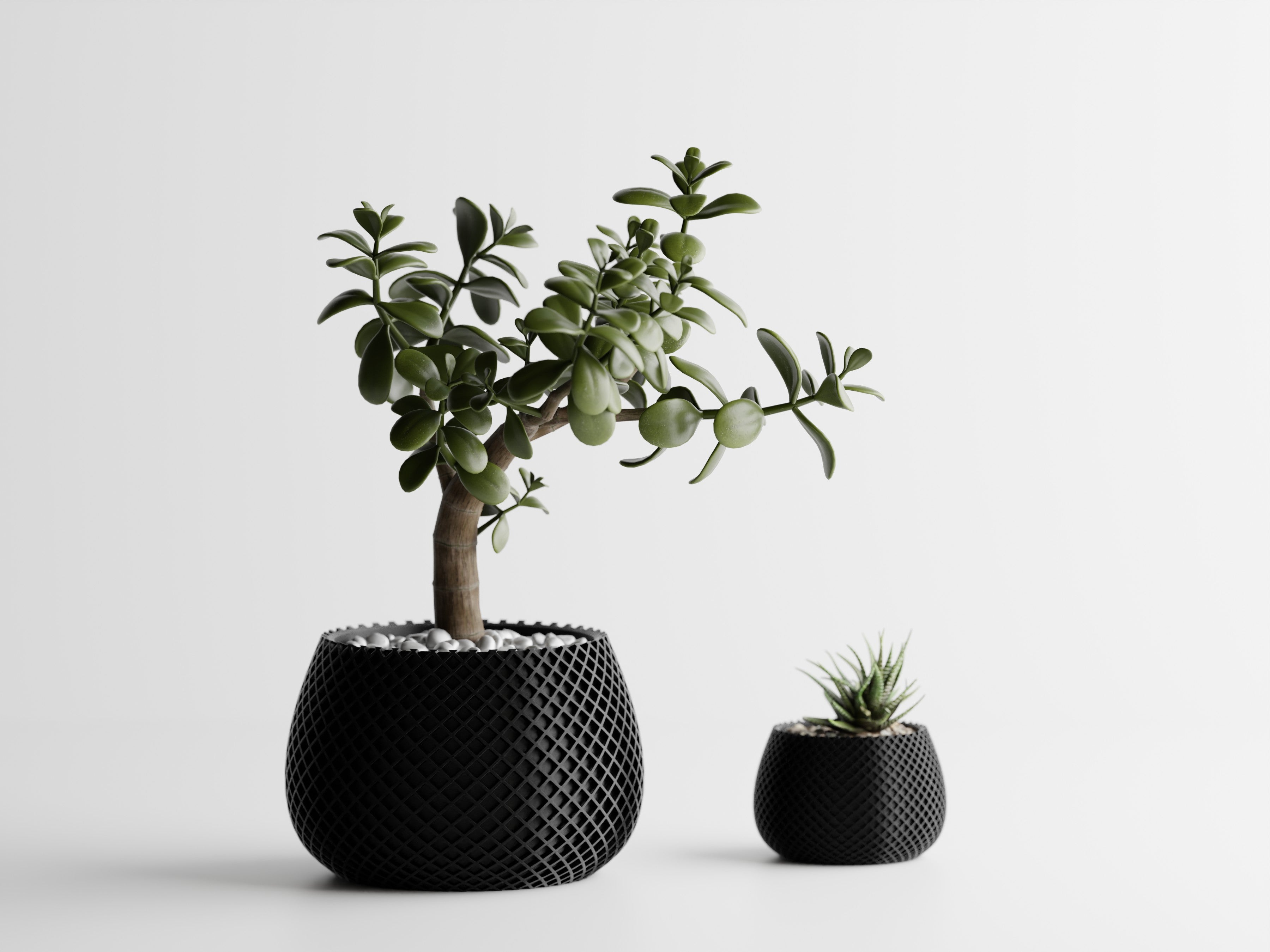 Planter Plant Pot Vase