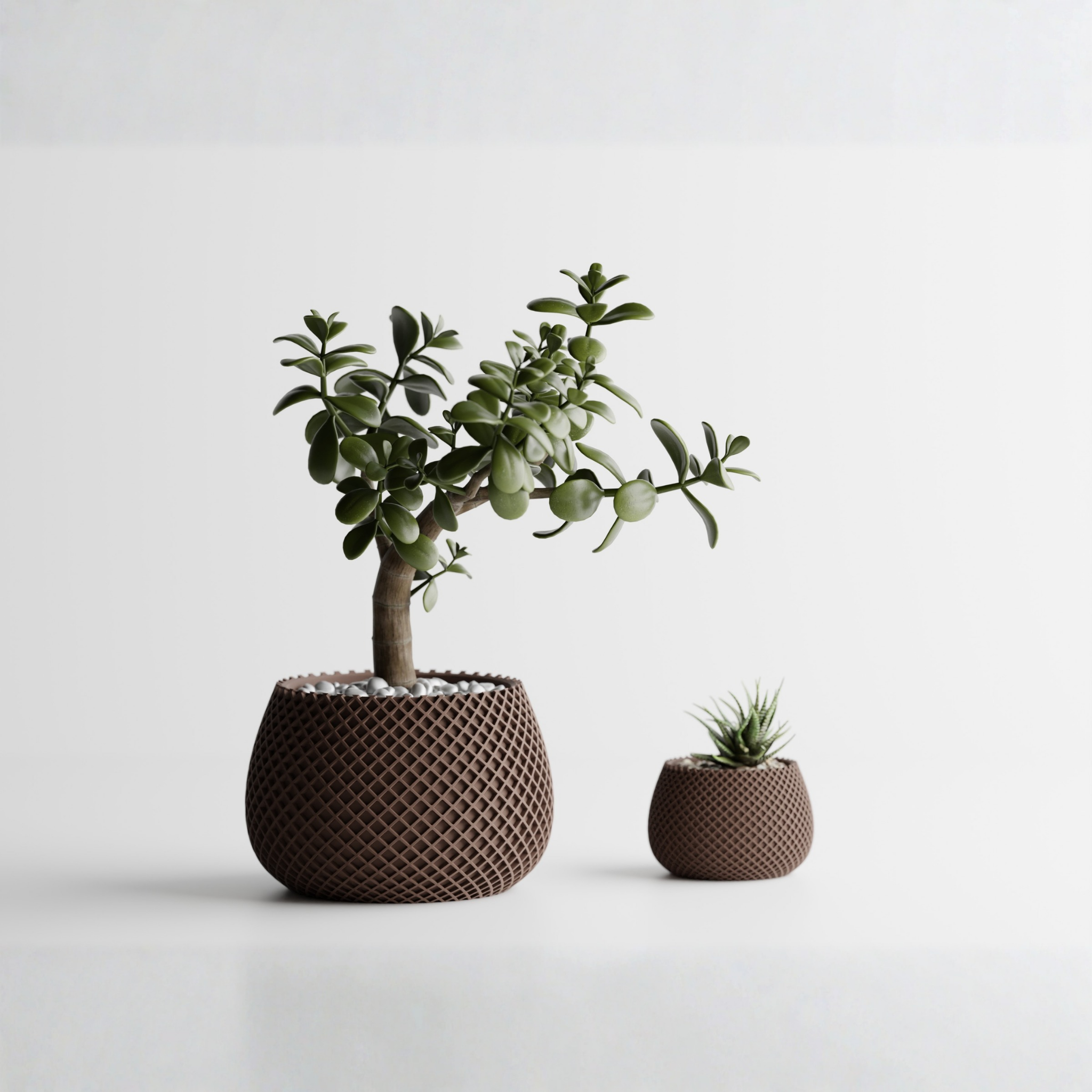 Planter Plant Pot Vase