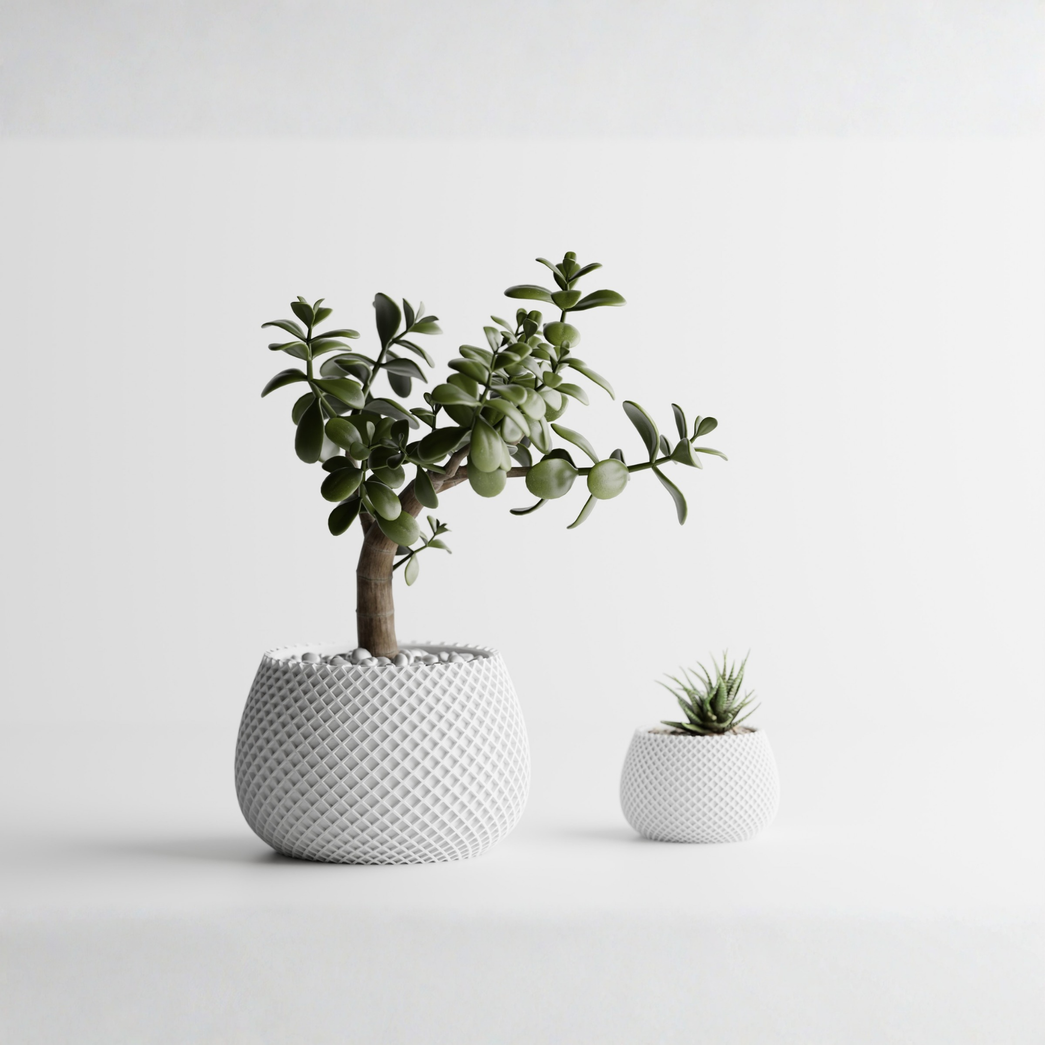 Planter Plant Pot Vase