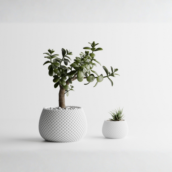 Planter Plant Pot Vase