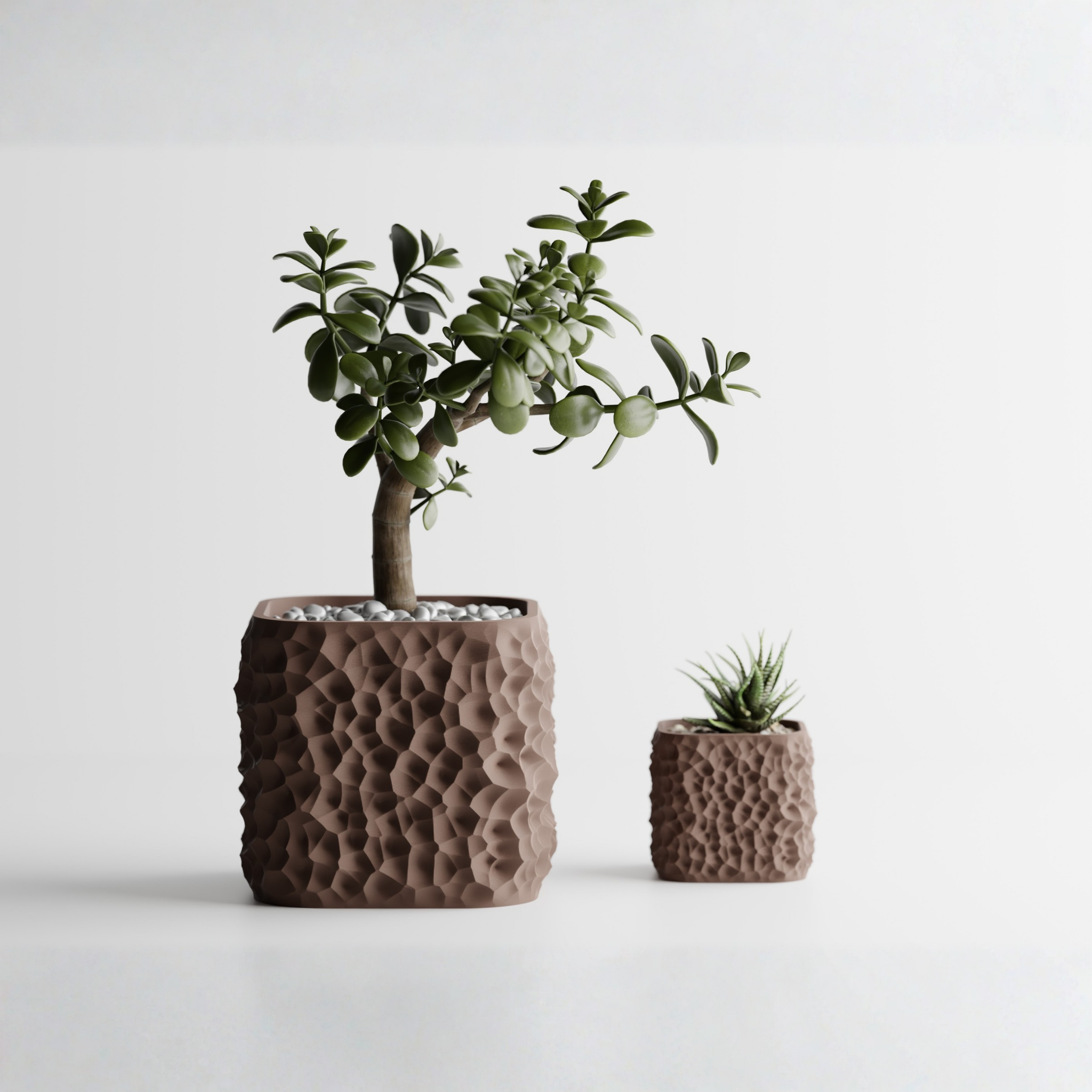Plant Pot TerraForma