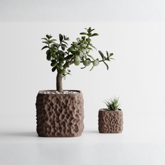 Plant Pot TerraForma