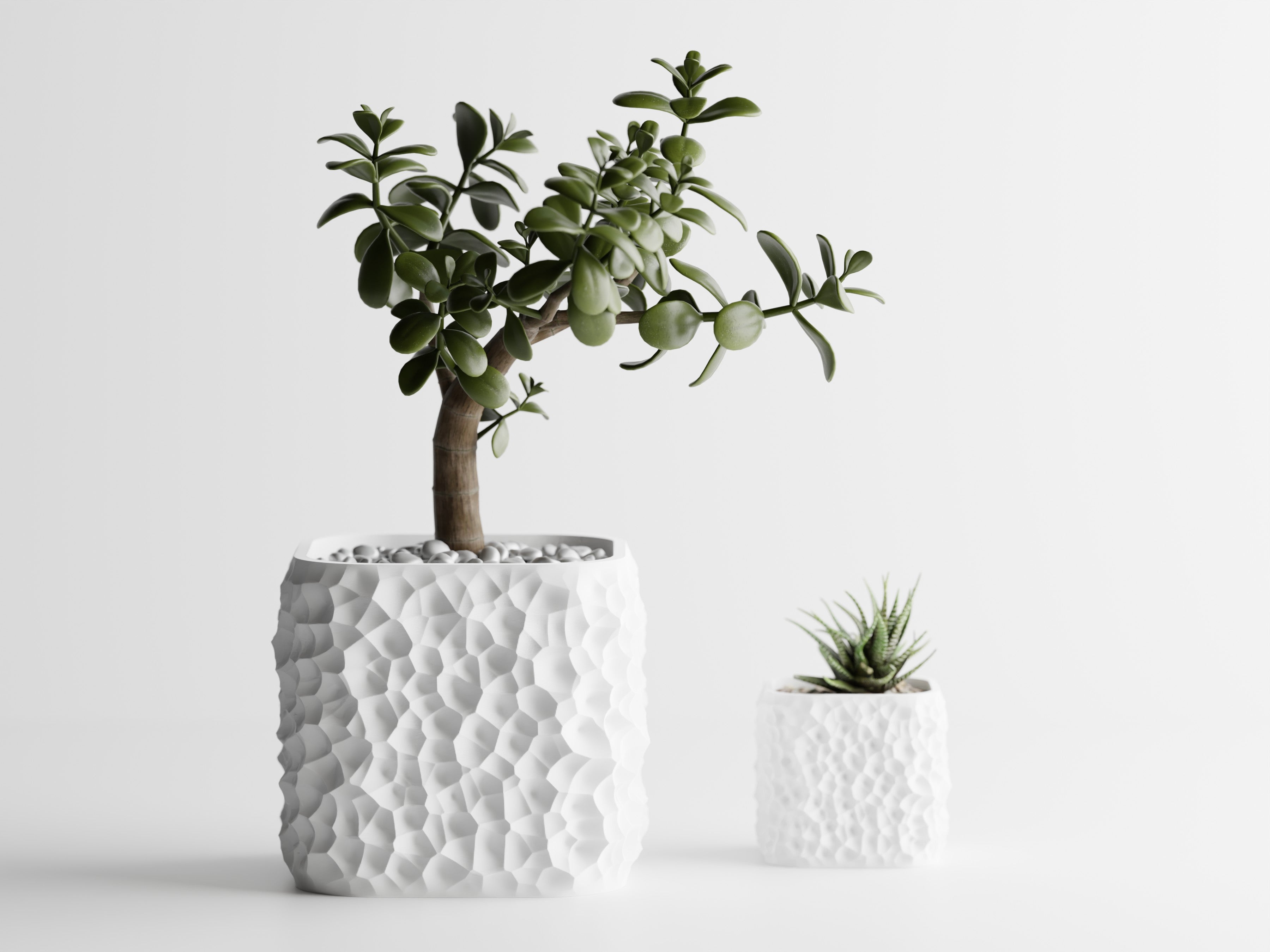 Plant Pot TerraForma